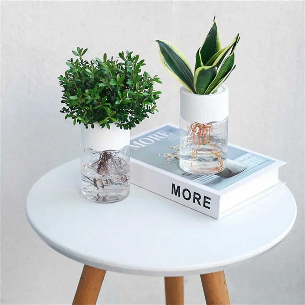 Transparent Hydroponic Vase Decor