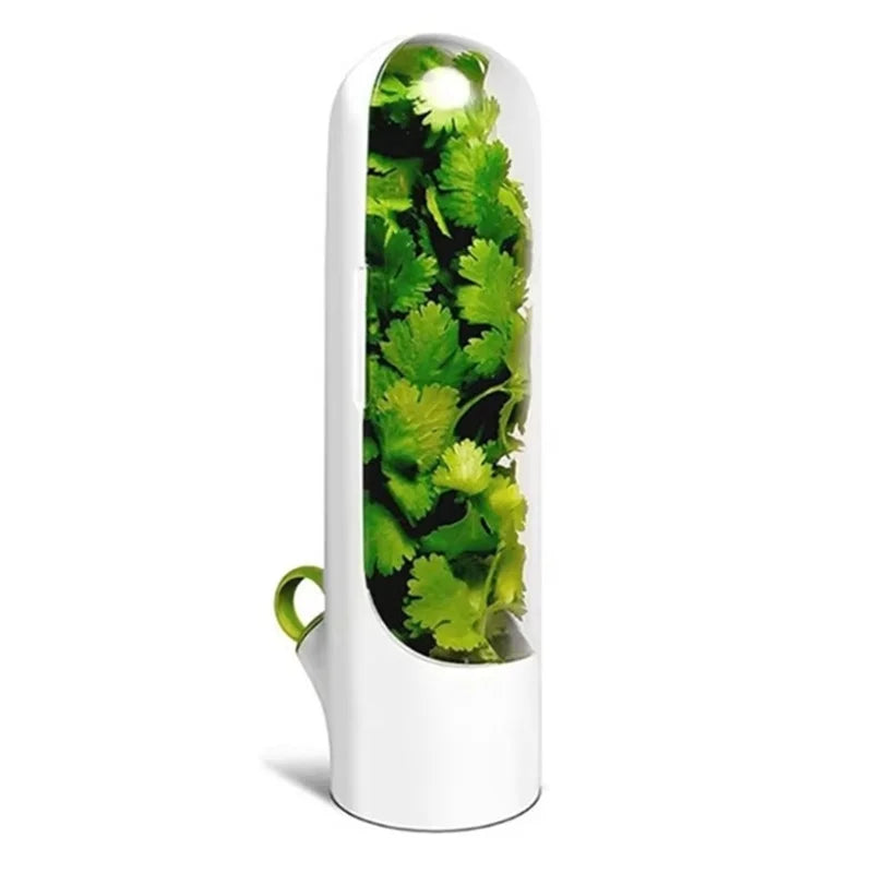 HerbGuard Fresh Herb Saver — Preservation Container for Herbs & Vegetables (1/2/3 PCS)