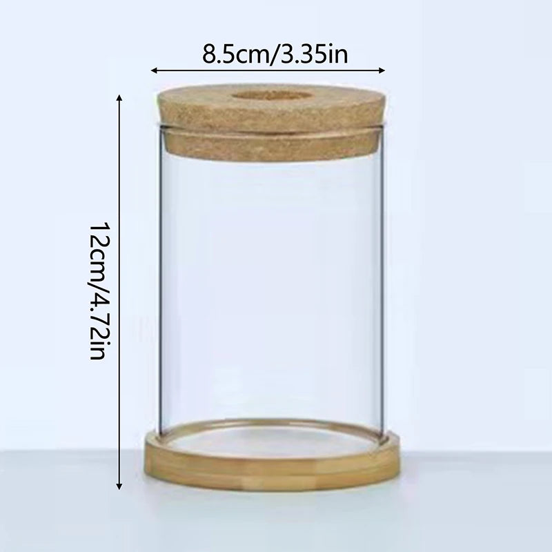 CrystalGrow Mini Hydroponic Terrarium – Transparent Soilless Plant Vase