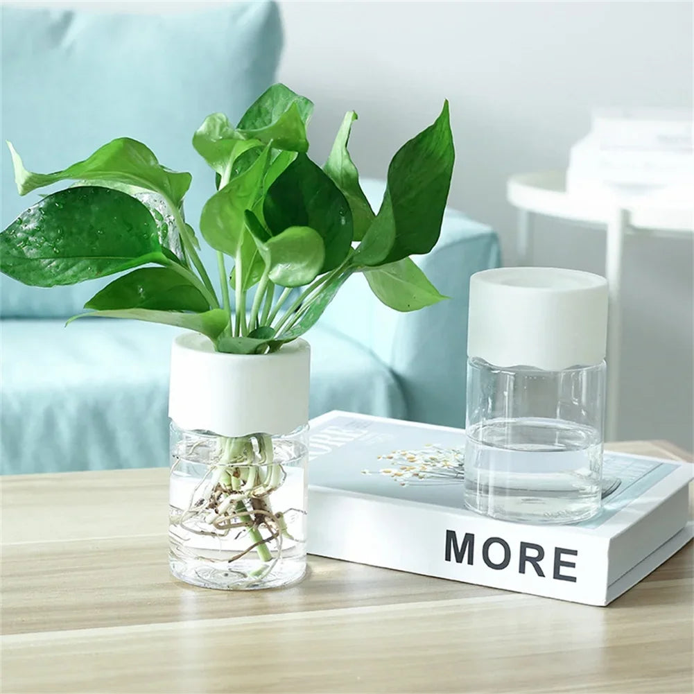 Transparent Hydroponic Vase Decor