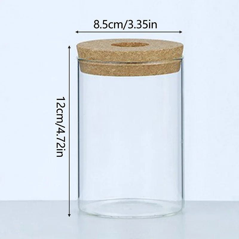 CrystalGrow Mini Hydroponic Terrarium – Transparent Soilless Plant Vase