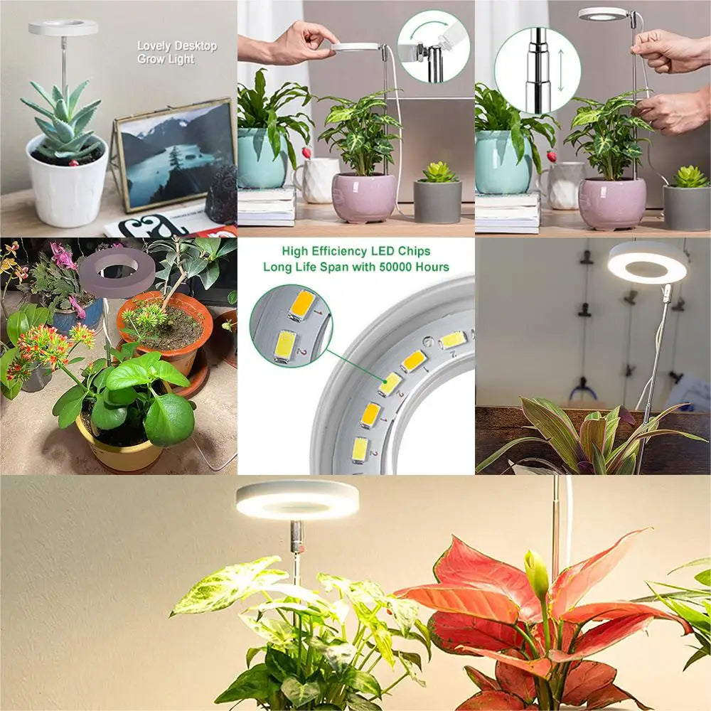 LushGlow Pro - Full Spectrum LED Grow Light