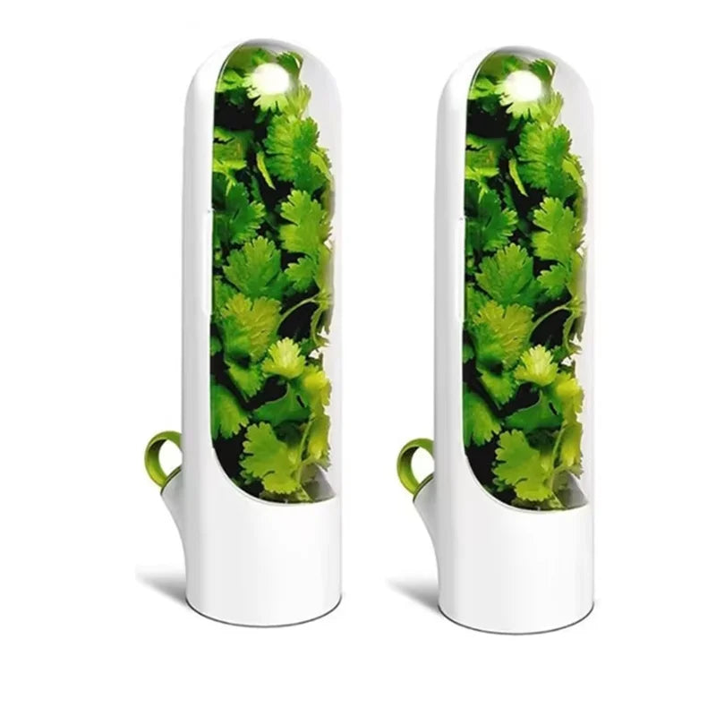 HerbGuard Fresh Herb Saver — Preservation Container for Herbs & Vegetables (1/2/3 PCS)