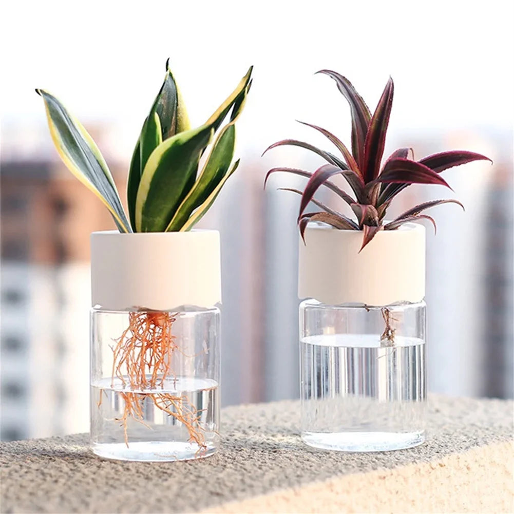 Transparent Hydroponic Vase Decor
