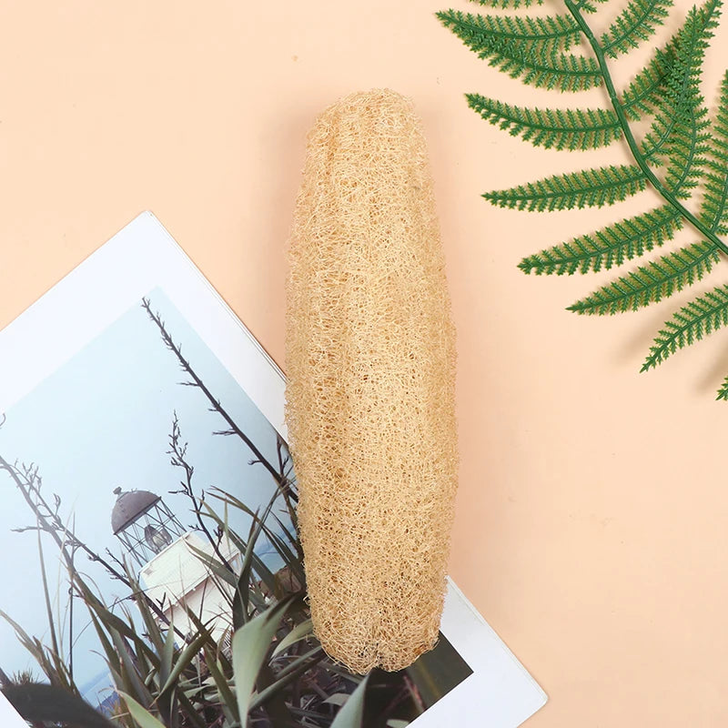 PureLufa Natural Loofah Sponge — Biodegradable Exfoliating Scrubber for Shower & Kitchen