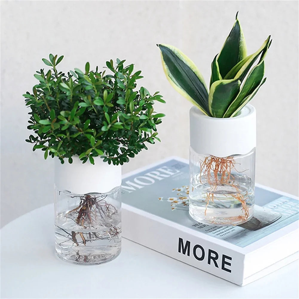 Transparent Hydroponic Vase Decor