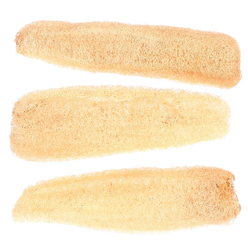 PureLufa Natural Loofah Sponge — Biodegradable Exfoliating Scrubber for Shower & Kitchen