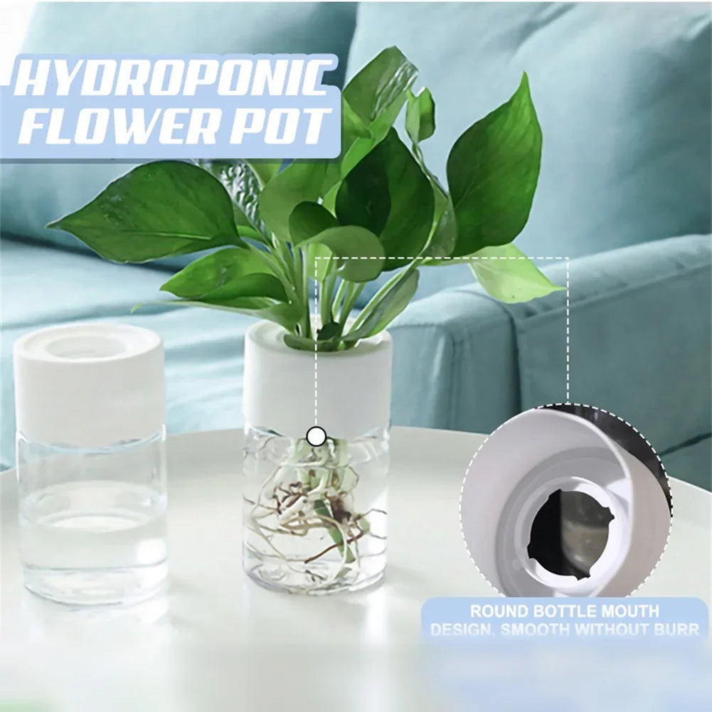 Transparent Hydroponic Vase Decor