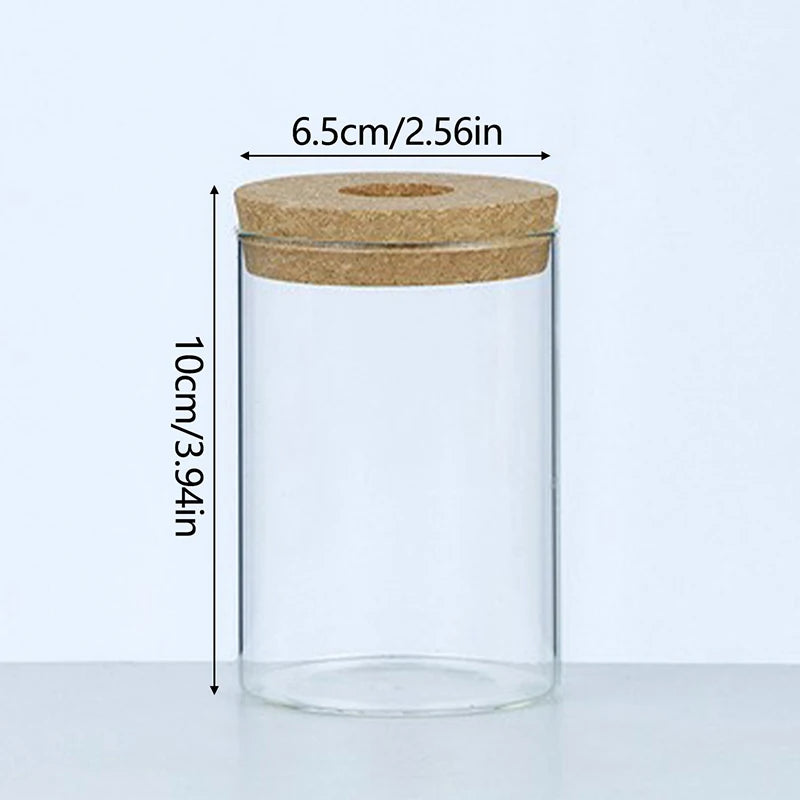 CrystalGrow Mini Hydroponic Terrarium – Transparent Soilless Plant Vase