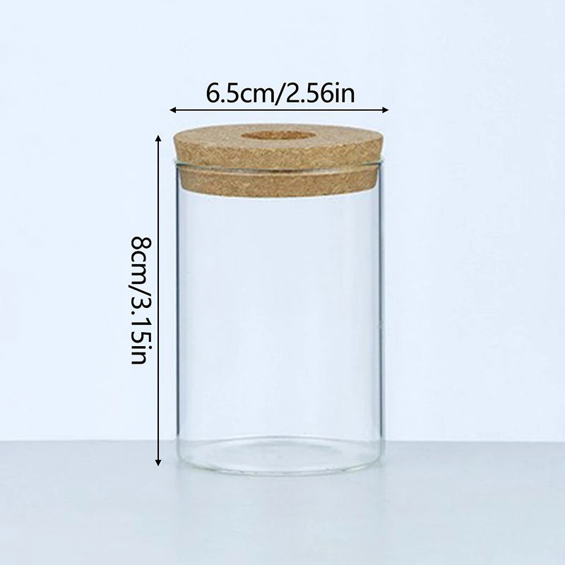 CrystalGrow Mini Hydroponic Terrarium – Transparent Soilless Plant Vase