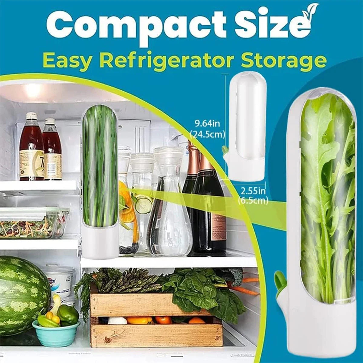HerbGuard Fresh Herb Saver — Preservation Container for Herbs & Vegetables (1/2/3 PCS)