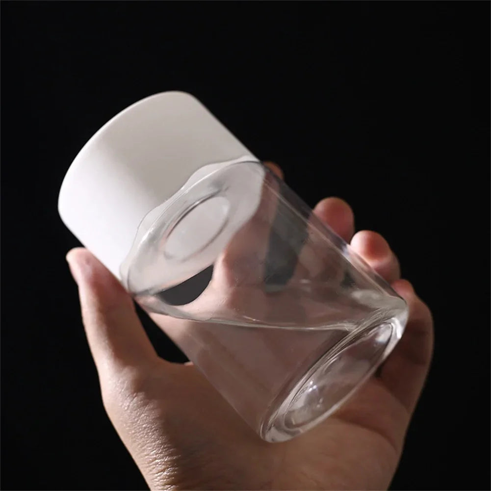 Transparent Hydroponic Vase Decor