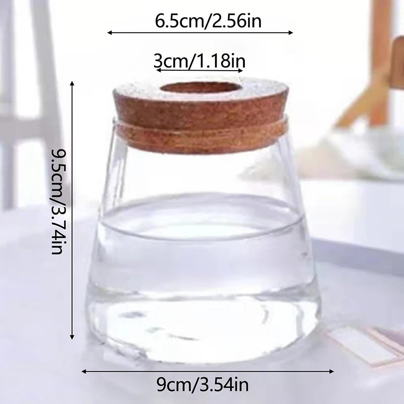 CrystalGrow Mini Hydroponic Terrarium – Transparent Soilless Plant Vase