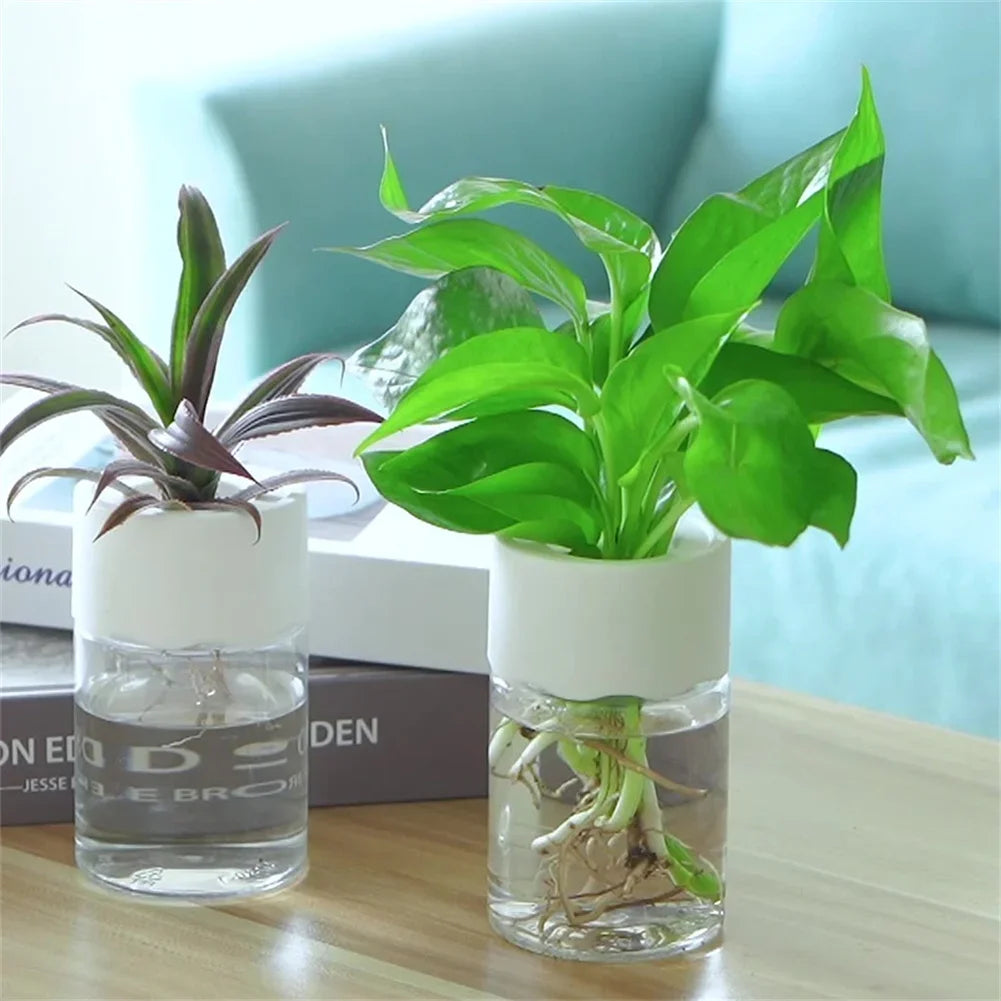 Transparent Hydroponic Vase Decor