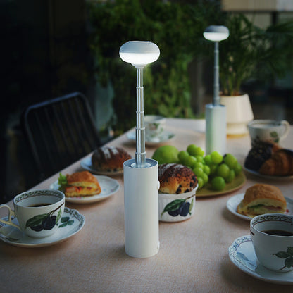 LuxeLantern™ Indoor-Outdoor Light