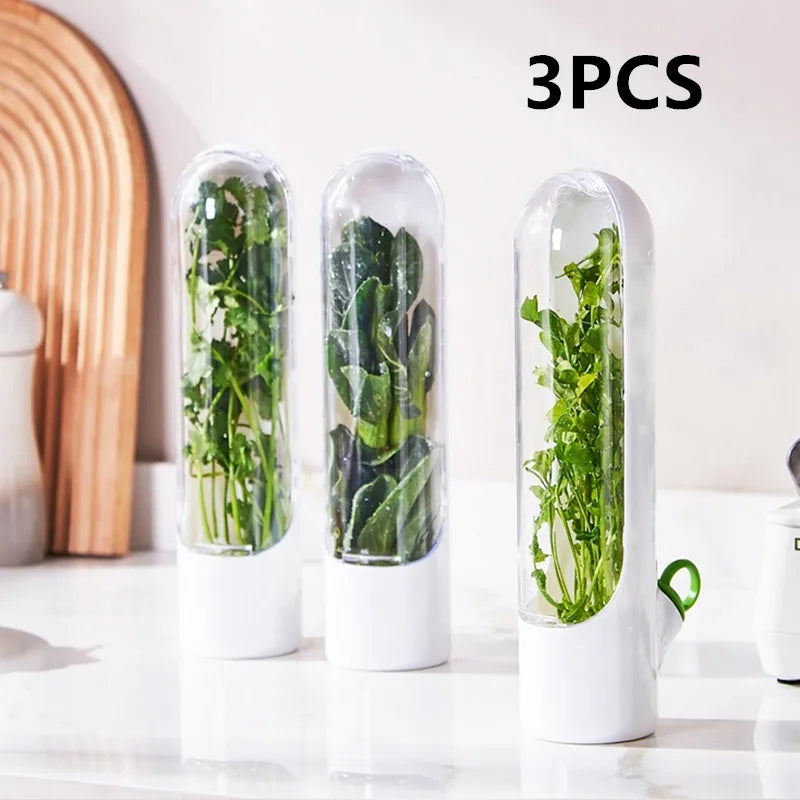 HerbGuard Fresh Herb Saver — Preservation Container for Herbs & Vegetables (1/2/3 PCS)