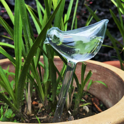 AquaBloom Self-Watering Bulbs — Automatic Bird &amp; Ball Shape Drip Irrigation System
