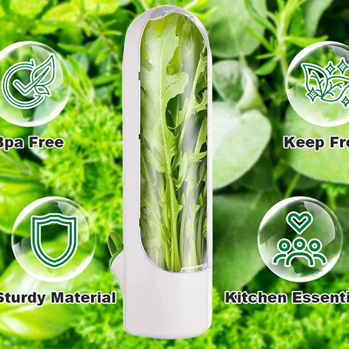 HerbGuard Fresh Herb Saver — Preservation Container for Herbs &amp; Vegetables (1/2/3 PCS)