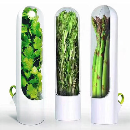 HerbGuard Fresh Herb Saver — Preservation Container for Herbs &amp; Vegetables (1/2/3 PCS)