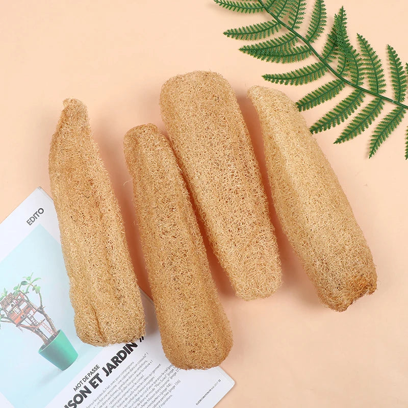 PureLufa Natural Loofah Sponge — Biodegradable Exfoliating Scrubber for Shower & Kitchen