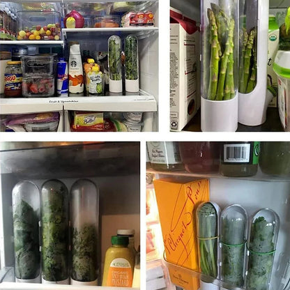 HerbGuard Fresh Herb Saver — Preservation Container for Herbs &amp; Vegetables (1/2/3 PCS)
